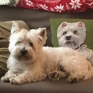 Meet your Posher, Cynthia